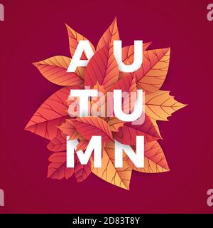 Autunno sfondo moderno modello con lettere. Design con foglie di caduta luminose. Poster, scheda, etichetta, banner. Ideale per post sui social media. Luminoso n Illustrazione Vettoriale