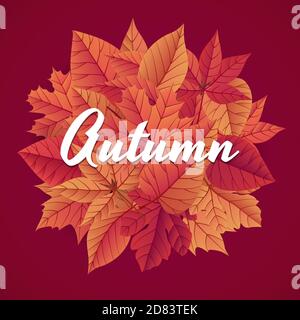 Autunno sfondo moderno modello con lettere. Design con foglie di caduta luminose. Poster, scheda, etichetta, banner. Ideale per post sui social media. Luminoso n Illustrazione Vettoriale