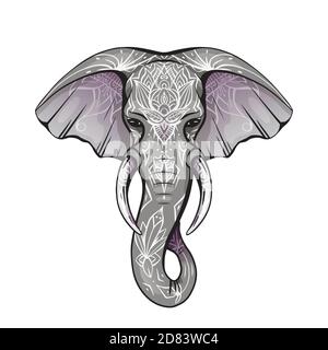Contorno colore testa elefante nativo con tronco, tusks e boho ornamenti. Testa di Ganesha con decorazione. Disegno vettoriale per carte, striscioni e la tua crea Illustrazione Vettoriale