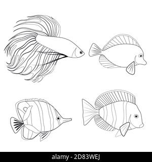 Set di contorni diversi pesci tropicali. Gallo di pesce, pesce di pennant, angelo reale. Abitanti marini. Profilo vettoriale per pagine da colorare, log Illustrazione Vettoriale