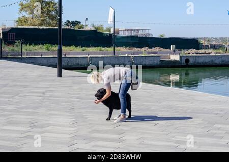 Una donna adulta cammina lungo l'argine della città con labrador nero. La donna si piega ed esamina la zampa di un animale domestico di 11 anni. Stile di vita Foto Stock