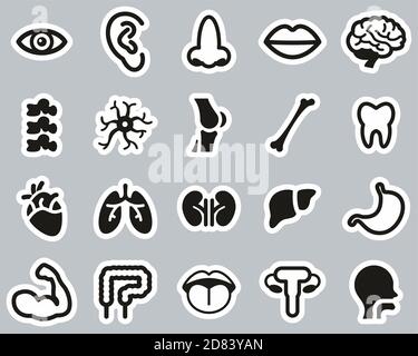 Icone dell'anatomia umana o delle parti del corpo umano in bianco e nero Set adesivi Big Illustrazione Vettoriale