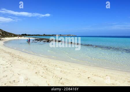 Vivaio di squali a Coral Bay, Australia Occidentale Foto Stock