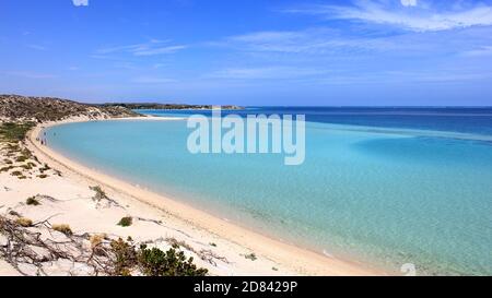 Vivaio di squali a Coral Bay, Australia Occidentale Foto Stock