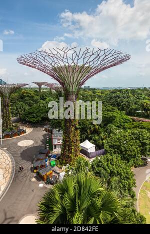 Singapore - 4 dicembre 2019: Vista sul Supertree Grove a Gardens by the Bay a Singapore vicino all'hotel Marina Bay Sands. Foto Stock