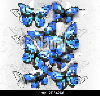 Composizione verticale di farfalle di morfo realistiche, blu e bianche su sfondo grigio a trama. Morpho. Illustrazione Vettoriale
