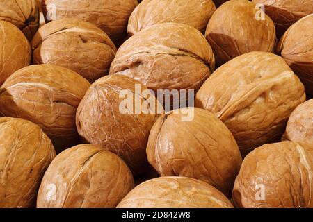 noci non pelate con motivo a guscio Foto Stock