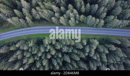 Strada attraverso la verde foresta di abete rosso, vista aerea Foto Stock