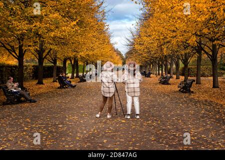 Grand Avenue in autunno. Regents Park London Regno Unito Foto Stock