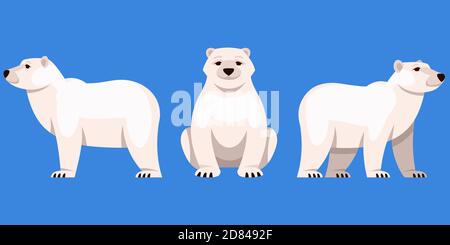 Orso polare in angoli diversi. Animale artico in stile cartoon. Illustrazione Vettoriale