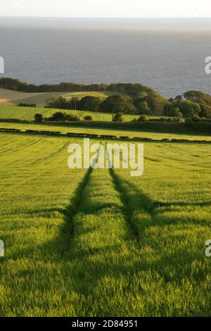 Ayrshire, South Ayrshire, Scozia, Regno Unito, Vista da sopra Croy Shore al Castello di Culzean e Ailsa Craig Foto Stock