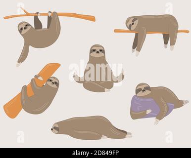 Sloth in posizioni diverse. Animale pigro in stile cartone animato lineare. Illustrazione Vettoriale