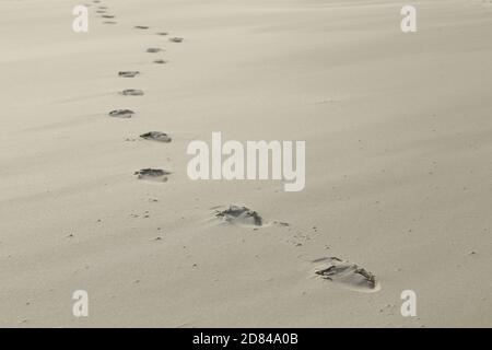 Orme nella sabbia a Kniepsand, Wittdün, Isola di Amrum, Isole Frisone del Nord, Schleswig-Holstein, Germania Foto Stock