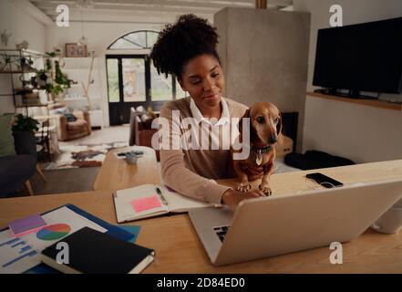 Donna africana felice che lavora a casa utilizzando un computer portatile durante la quarantena seduto con il cane Foto Stock