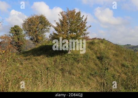 Builth Castle (resti di pietra), Castle Road, Builth Wells, Brecknockshire, Powys, Galles, Gran Bretagna, Regno Unito, Regno Unito, Europa Foto Stock