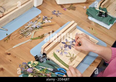 Una donna presenta una composizione. Master class sulla creazione di cornici con Herbarium in tecnica tiffany in vetro colorato. Erbario di diverso essiccato Foto Stock