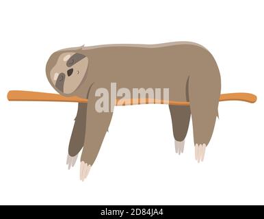 Sloth dormendo sul ramo. Illustrazione vettoriale in stile cartoon isolato su sfondo bianco. Illustrazione Vettoriale