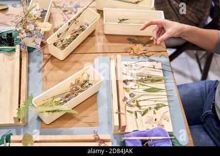 Una donna presenta una composizione. Master class sulla creazione di cornici con Herbarium in tecnica tiffany in vetro colorato. Erbario di diverso essiccato Foto Stock