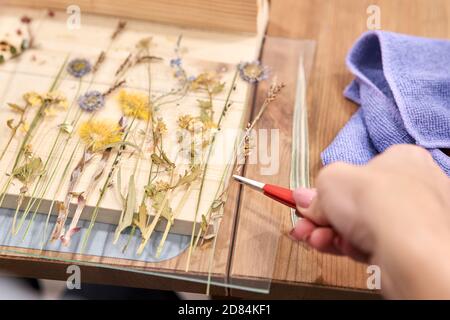 Una donna presenta una composizione. Master class sulla creazione di cornici con Herbarium in tecnica tiffany in vetro colorato. Erbario di diverso essiccato Foto Stock