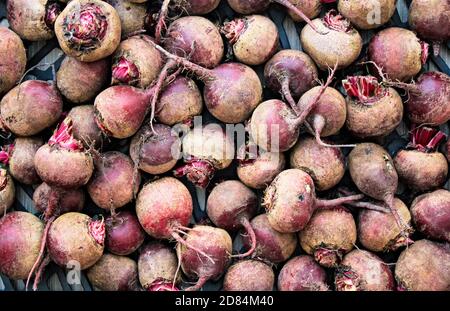 Barbabietole su una bancarella di mercato Foto Stock