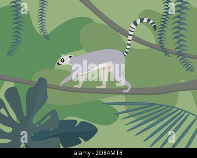 Lemuri nella foresta pluviale. Illustrazione vettoriale in stile cartoon. Illustrazione Vettoriale