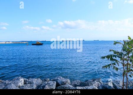 Vista dei gabbiani che volano sul mare con le navi e la Torre Galata sullo sfondo. Foto Stock