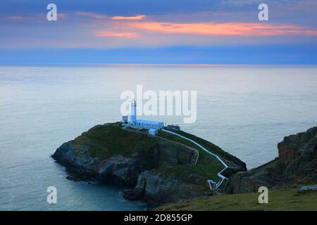 South Stack Lighthouse at Sunset, Holy Island, Anglesey, Galles del Nord, Regno Unito. Foto Stock