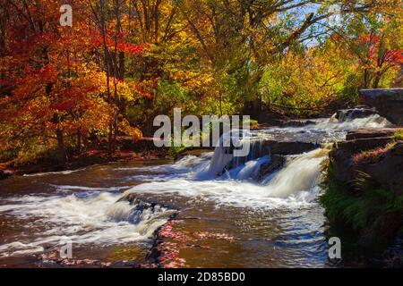 Le cascate Shohola si stendono per circa 50 metri su una serie di sporgenze in pietra arenaria. Situato a Shohola Creek, nelle Pocono Mountains della Pennsylvania, è un tribu Foto Stock