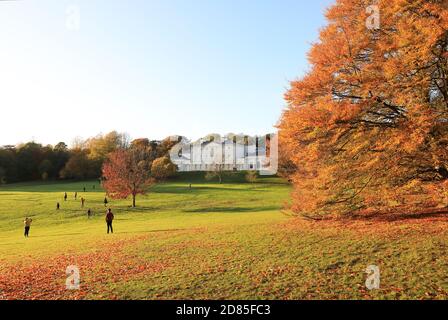 Splendidi colori autunnali su Hampstead Heath di fronte a Kenwood House nel nord di Londra, Regno Unito Foto Stock