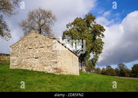 Un fienile di pietra tradizionale, sul pascolo, a Bishopdale, Yorkshire Dales, Regno Unito