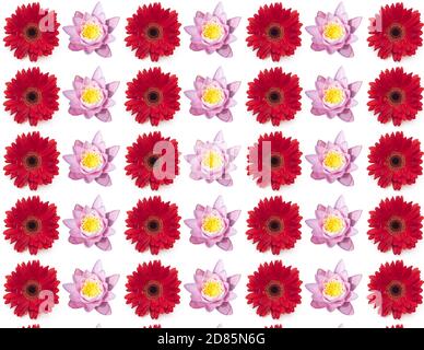 Motivo floreale senza cuciture isolato su bianco, texture o sfondo senza cuciture Foto Stock