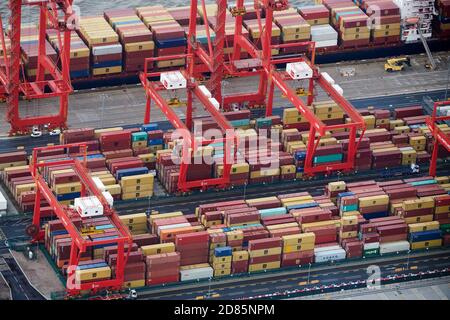 Contenitori per la spedizione sul Seaforth Docks a Liverpool Merseyside, Inghilterra nord-occidentale, Regno Unito Foto Stock