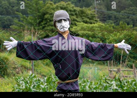 Una figurina nel campo guardando oltre recinzione a macchina fotografica. Scarecrow con supporto per maschera facciale bianca in giardino, Giappone. Foto Stock