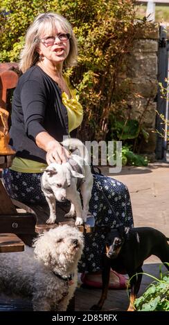 Donna seduta su panchina con cani da compagnia, Whitby, Inghilterra, Regno Unito Foto Stock