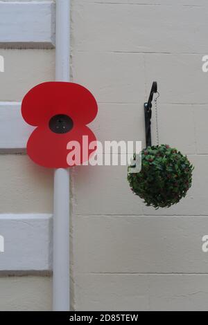 Moffat, Dumfrieshire, Scozia, Regno Unito. Esposizione commemorativa della prima guerra mondiale fuori da un negozio del villaggio, 100yrs dalla fine del WW1. Papavero singolo su una parete Foto Stock