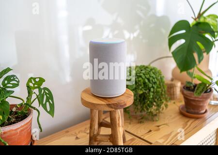 VIENNA, AUSTRIA - Ottobre 26 : Amazon Alexa Echo Plus su un armadio di legno con piante verdi sullo sfondo Foto Stock