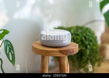 VIENNA, AUSTRIA - Ottobre 26 : un Amazon Alexa Echo bianco su un armadio di legno con piante verdi sullo sfondo Foto Stock