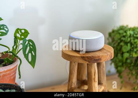 VIENNA, AUSTRIA - Ottobre 26 : un Amazon Alexa Echo bianco su un armadio di legno con piante verdi sullo sfondo Foto Stock