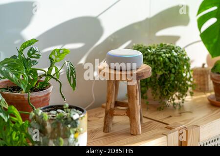 VIENNA, AUSTRIA - Ottobre 26 : un Amazon Alexa Echo bianco su un armadio di legno con piante verdi sullo sfondo Foto Stock