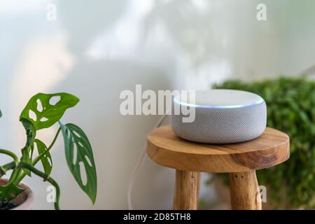 VIENNA, AUSTRIA - Ottobre 26 : un Amazon Alexa Echo bianco su un armadio di legno con piante verdi sullo sfondo Foto Stock