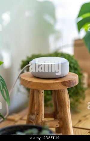 VIENNA, AUSTRIA - Ottobre 26 : un Amazon Alexa Echo bianco su un armadio di legno con piante verdi sullo sfondo Foto Stock