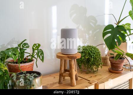 VIENNA, AUSTRIA - Ottobre 26 : Amazon Alexa Echo Plus su un armadio di legno con piante verdi sullo sfondo Foto Stock