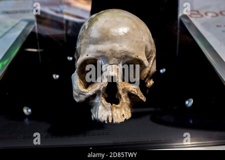 Caceres, Spagna - 27 maggio 2018: Cranio trovato alla Grotta di Maltravieso. Vista frontale. Extremadura, Caceres, Spagna Foto Stock