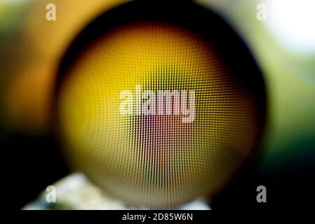 Una vera foto di un oggetto astratto sfocato. Foto Stock