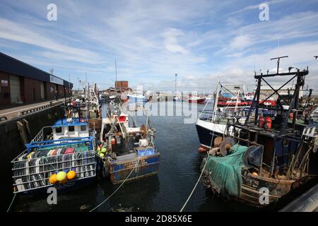 Troon, Porto, Ayrshire, Scozia, 20 luglio 2019 Barche da pesca legate nel porto protetto di Troon Foto Stock