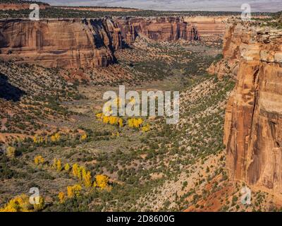 Ute Canyon da Rim Rock Drive, Colorado National Monument vicino a Grand Junction, Colorado. Foto Stock