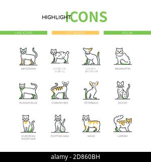 Cat Breeds - Set di icone di stile moderno Illustrazione Vettoriale