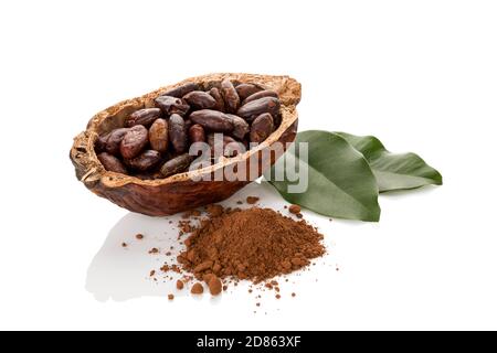 Fagioli di cacao freschi arrostiti in un baccello con polvere di cocao isolata su fondo bianco. Supercibo. Foto Stock