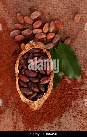 Fagioli di cacao in cialda, polvere di cioccolato e foglie su tavola, piatto. Delizioso sfondo di cioccolato fondente. Supercibo naturale. Foto Stock