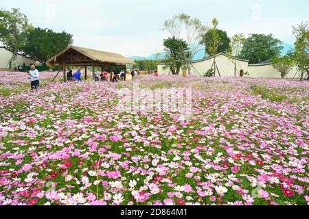 Fuzhou, la provincia cinese di Fujian. 21 Ott 2020. La gente visita un campo di fiori alla comunità storica di Liangcuo nel distretto di Cangshan di Fuzhou, la provincia di Fujian della Cina sudorientale, 21 ottobre 2020. Credit: LIN Shanchuan/Xinhua/Alamy Live News Foto Stock